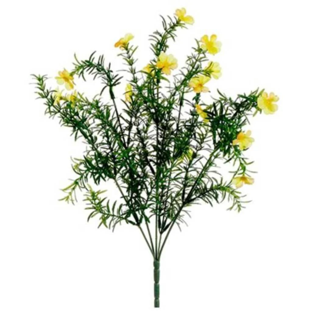 17"Flowering Springeri Bush Ye