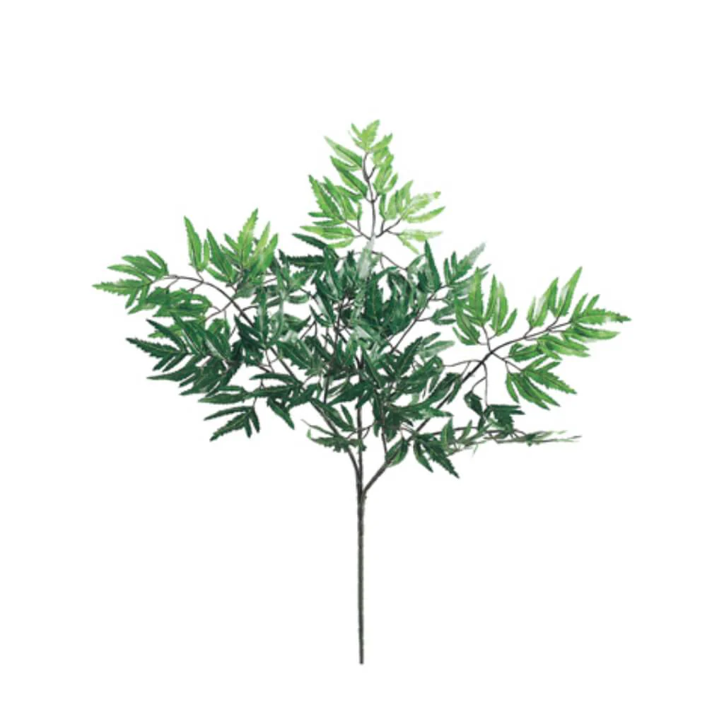 ARALIA SPRAY X3 119L 21" GREEN