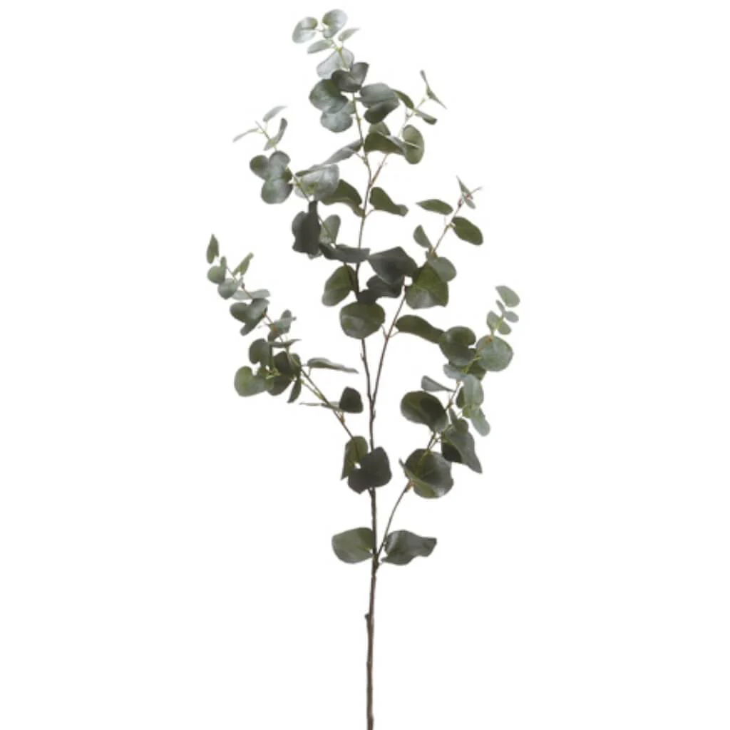 Eucalyptus Spray 40" Green