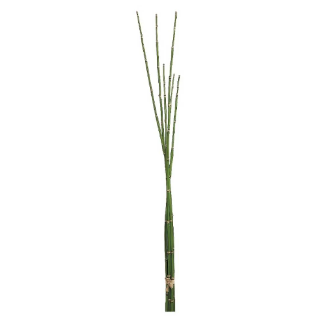 36"Horsetail Bundle X6 Gr