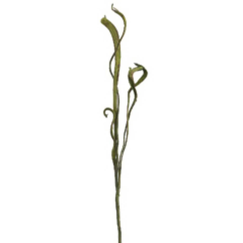 Staghorn Spray X2 34" Green