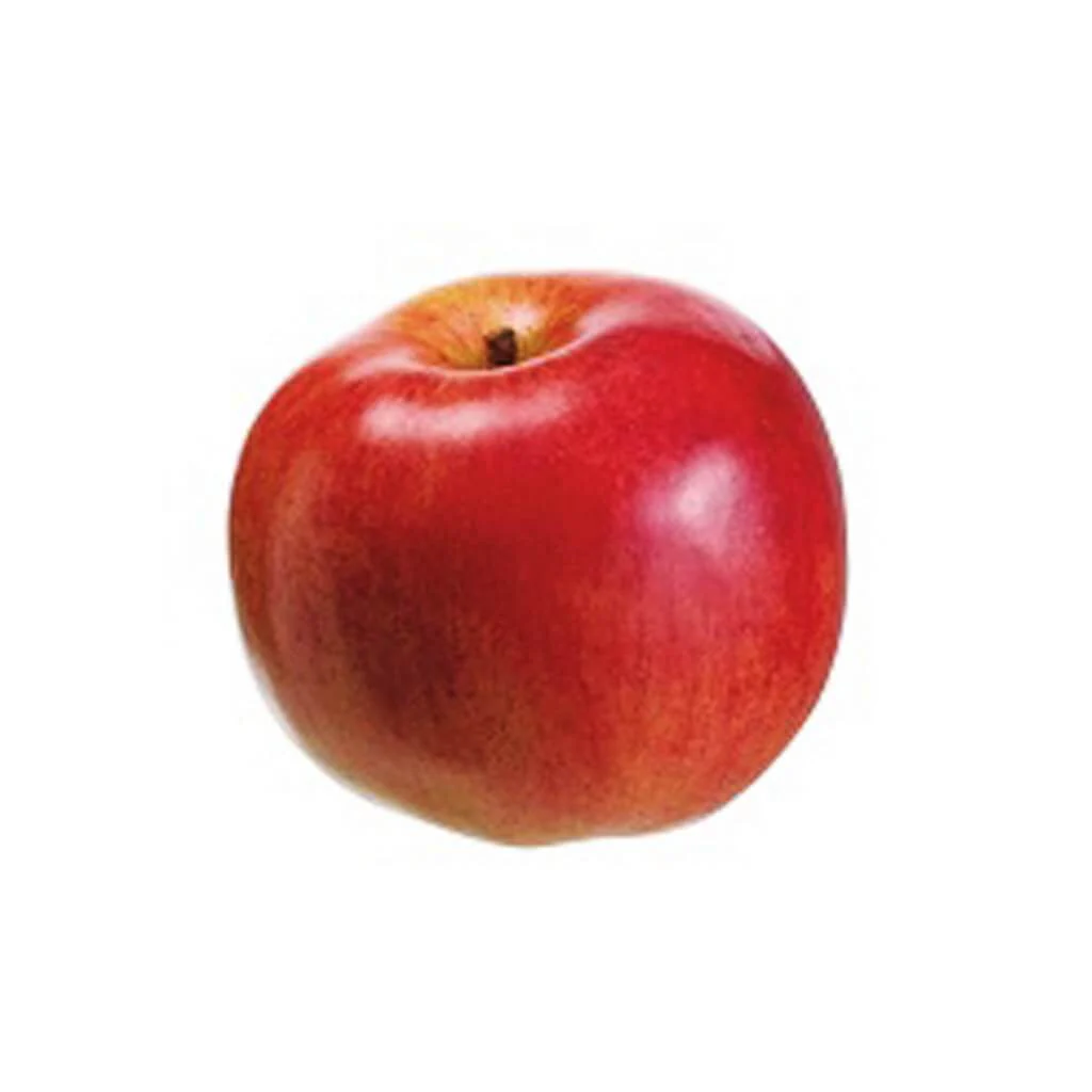 3.9"Foam Weighted Apple Re