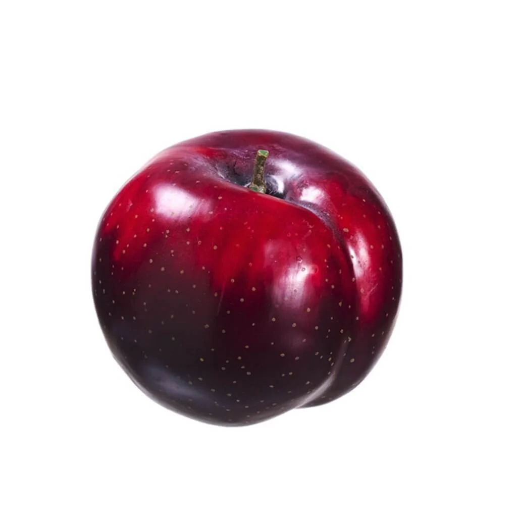 2"Weighted Plum Re/Bu