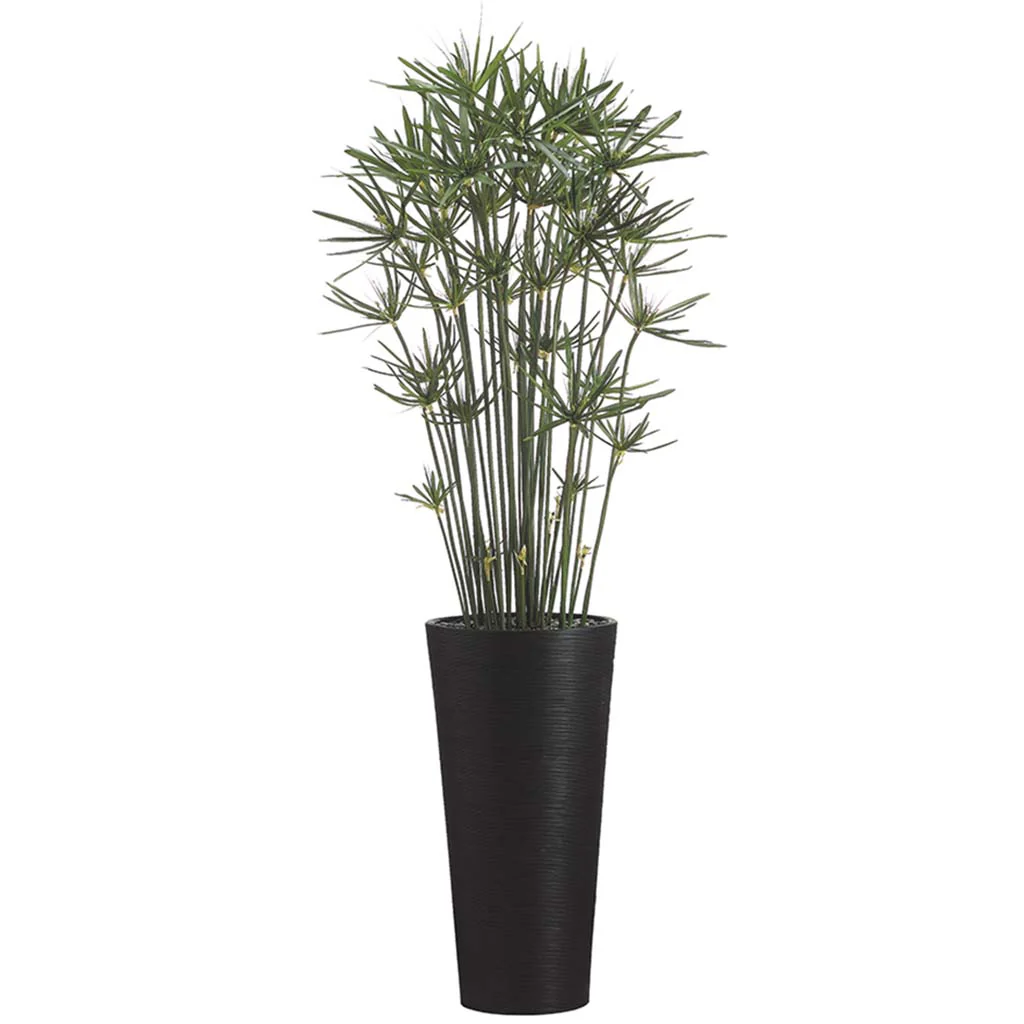 7.5'H Cypress In Bamboo T.Cntr