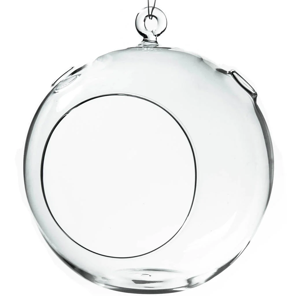 Clear Hanging Glass Terrarium 8in