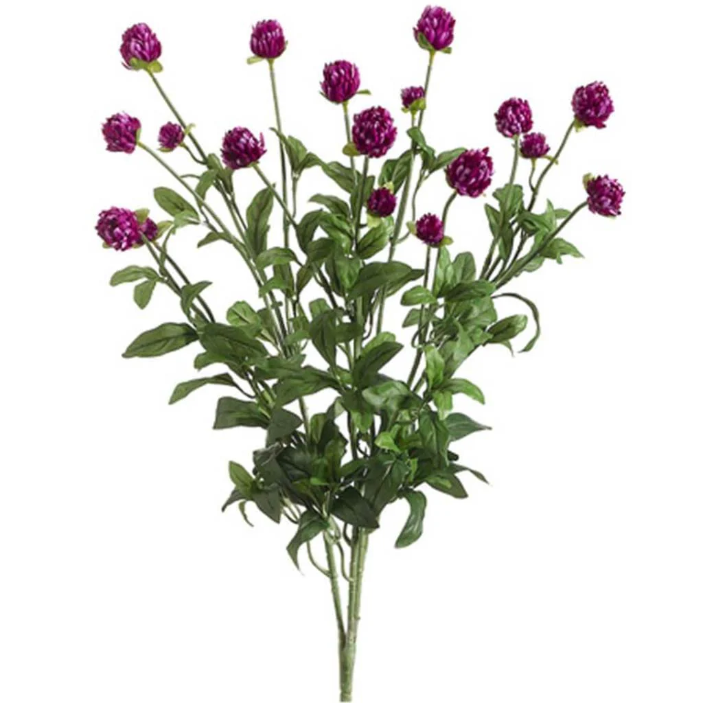 Clover Bush X3 23" Bt