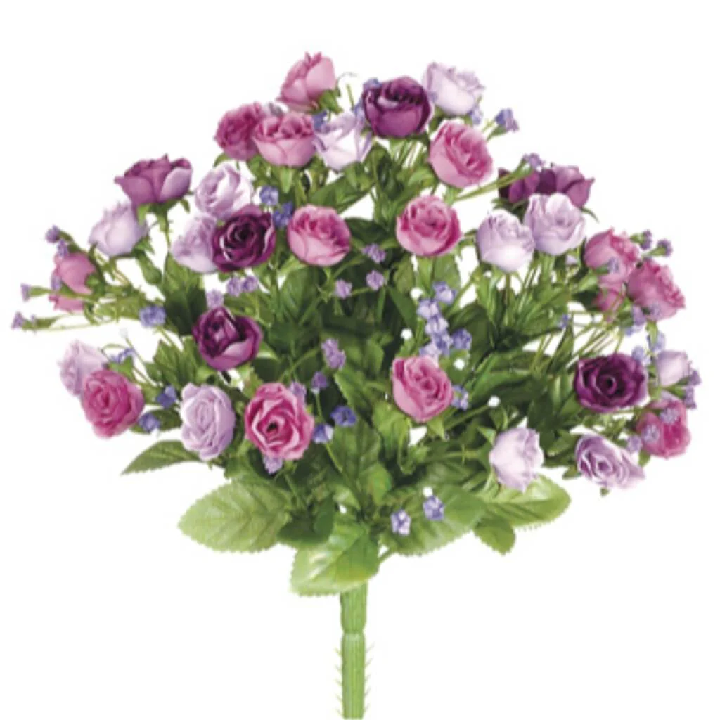 12"Sweeth. Rose Bush X14 Lv/Pu
