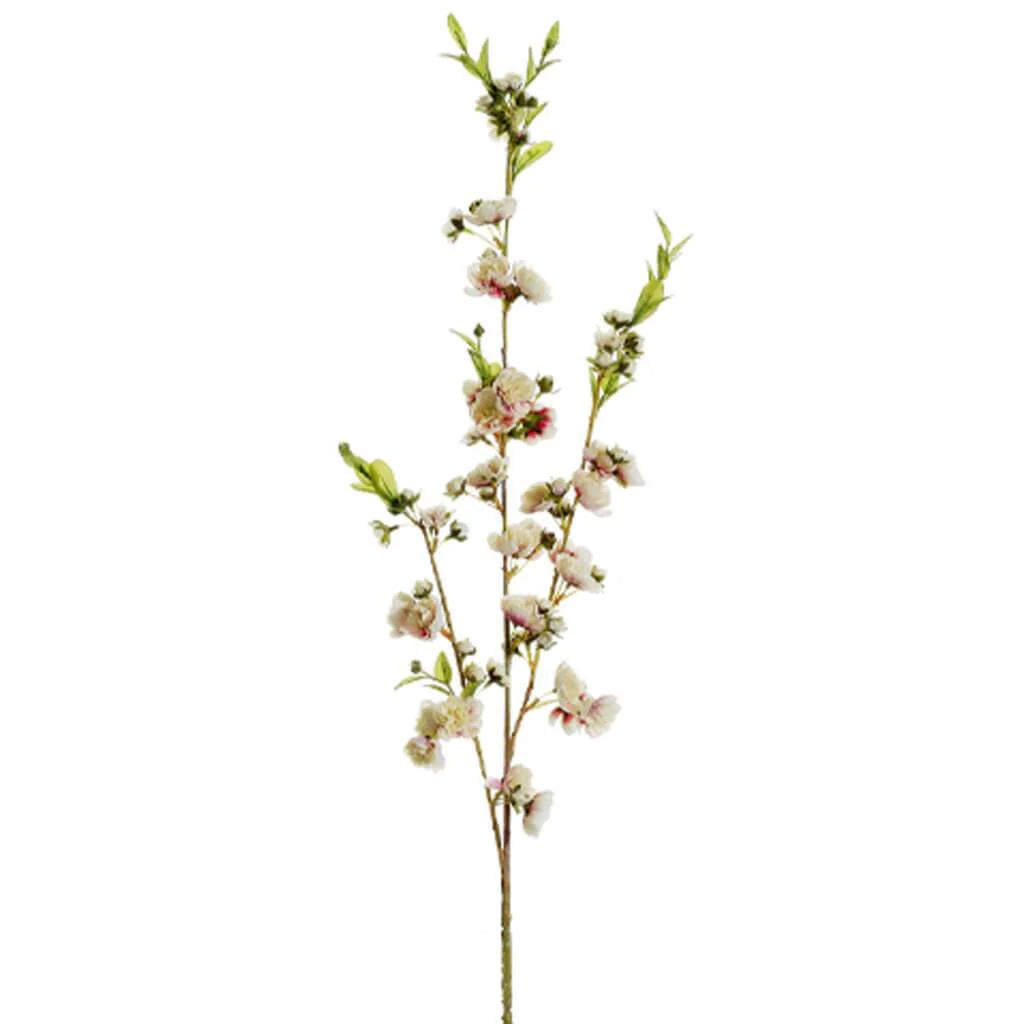 Hybrid Cherry Blossom Spray 41" Cream Rubrum