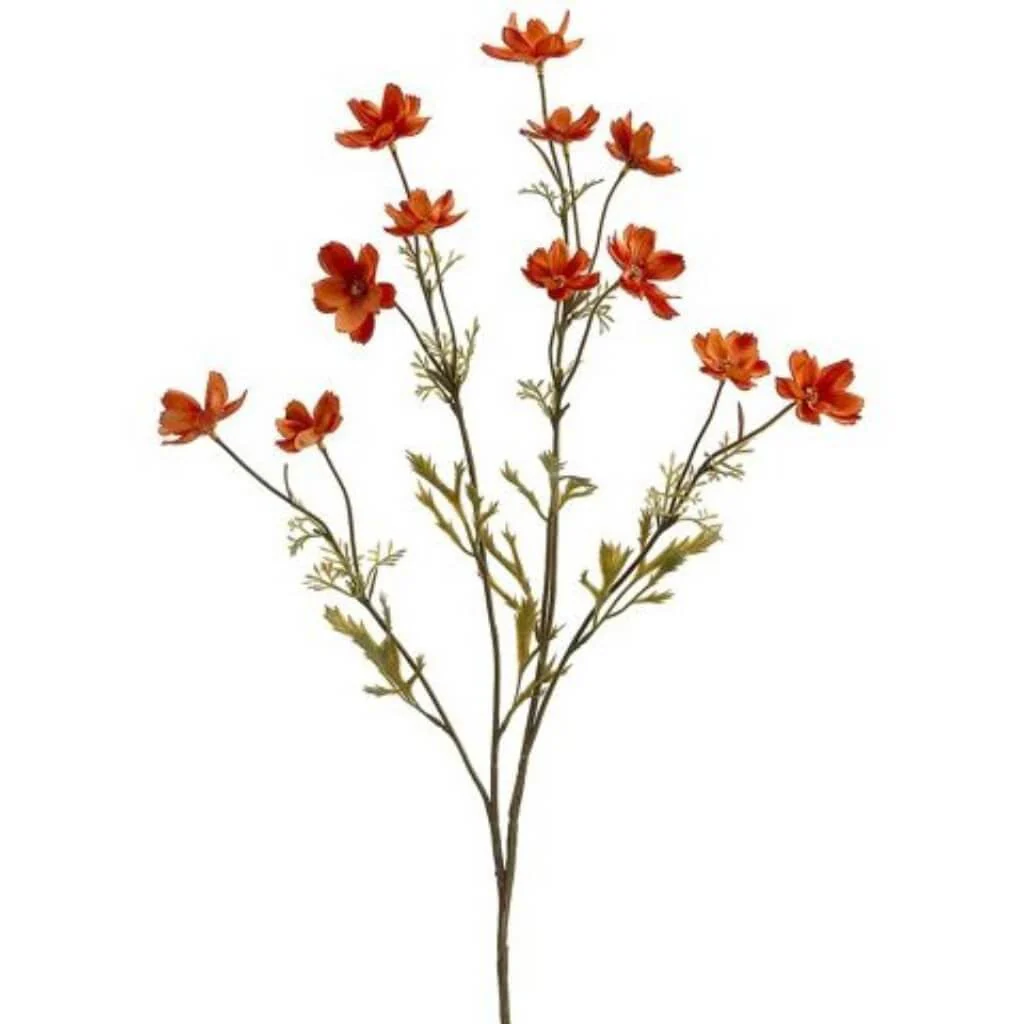 26"Baby Cosmos Spray Am