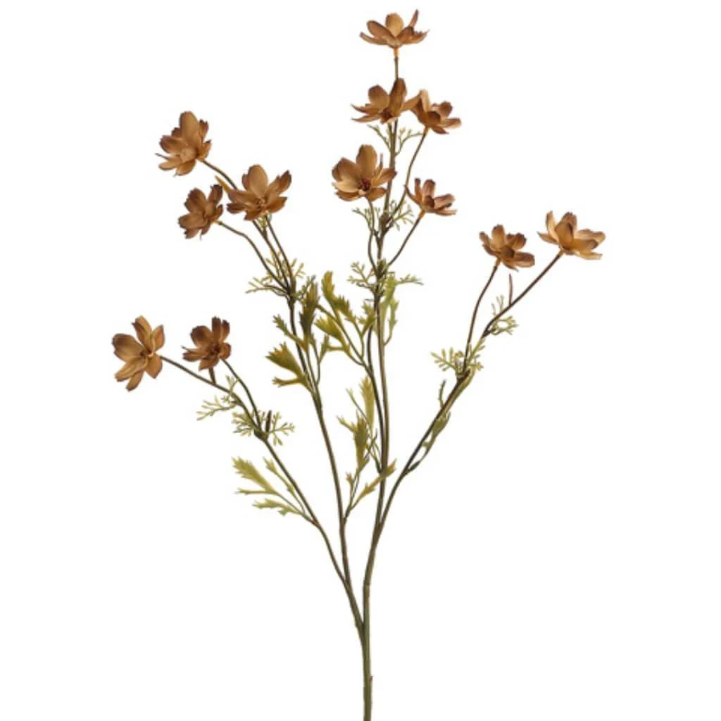 26"Baby Cosmos Spray Cv/Tt