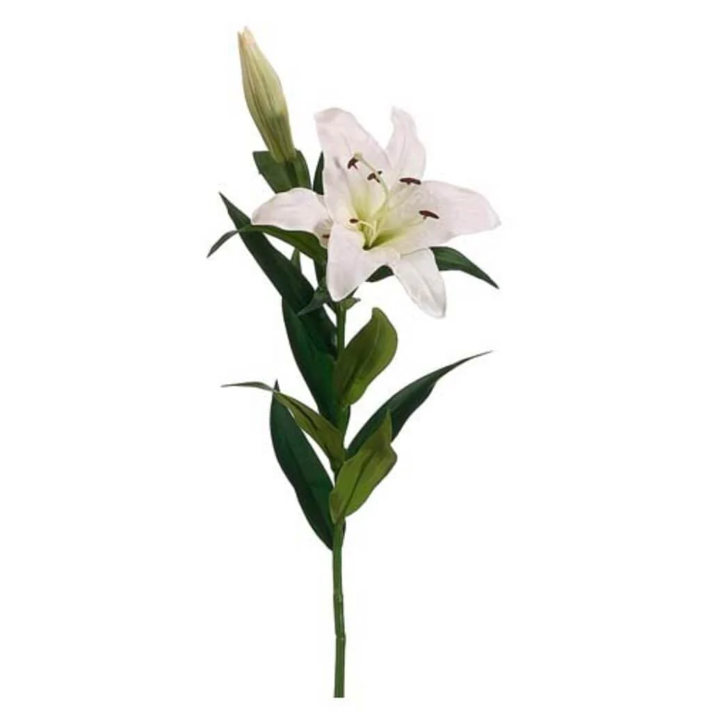 Stargazer Lily Spray 35" White