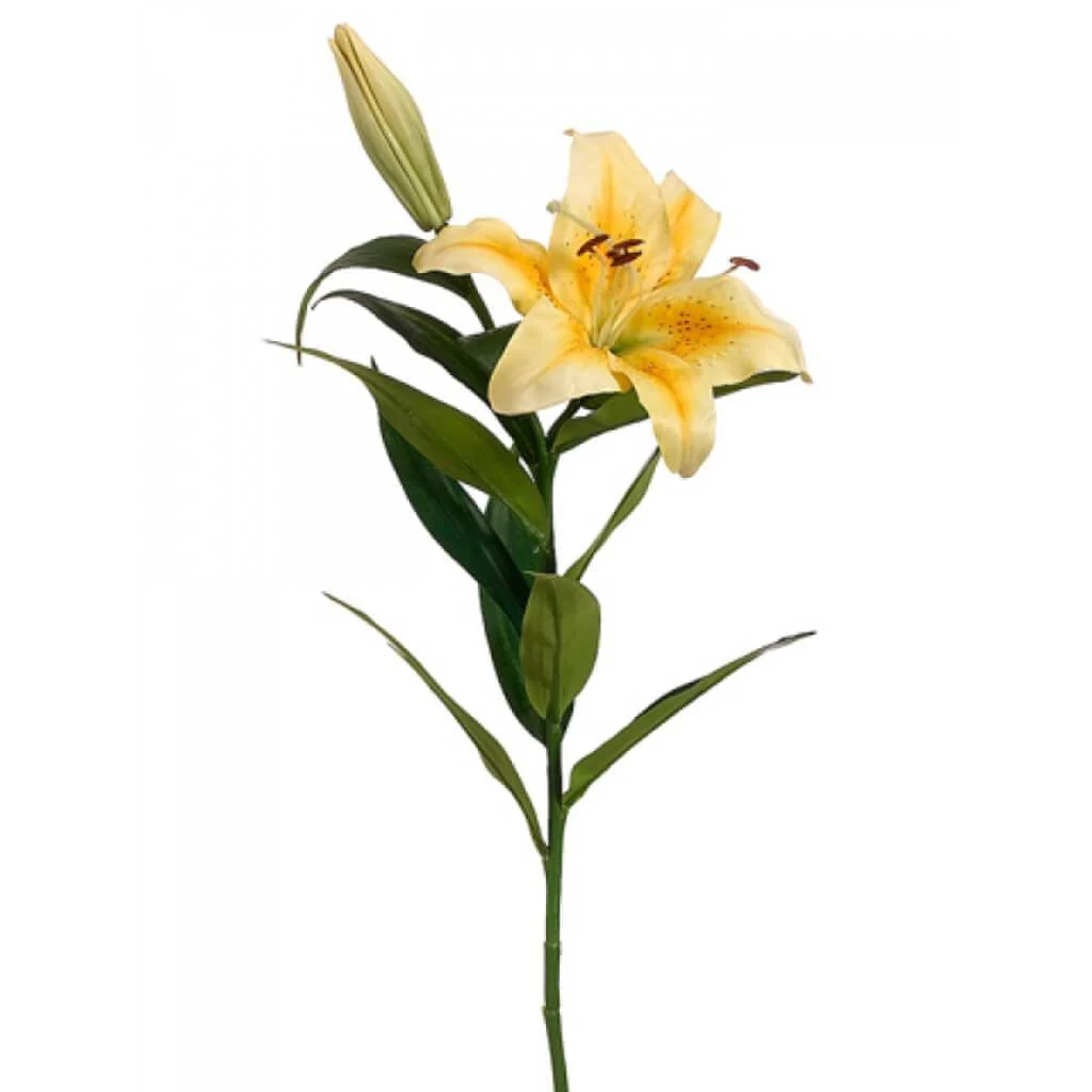 Stargazer Lily Spray 35" Yellow
