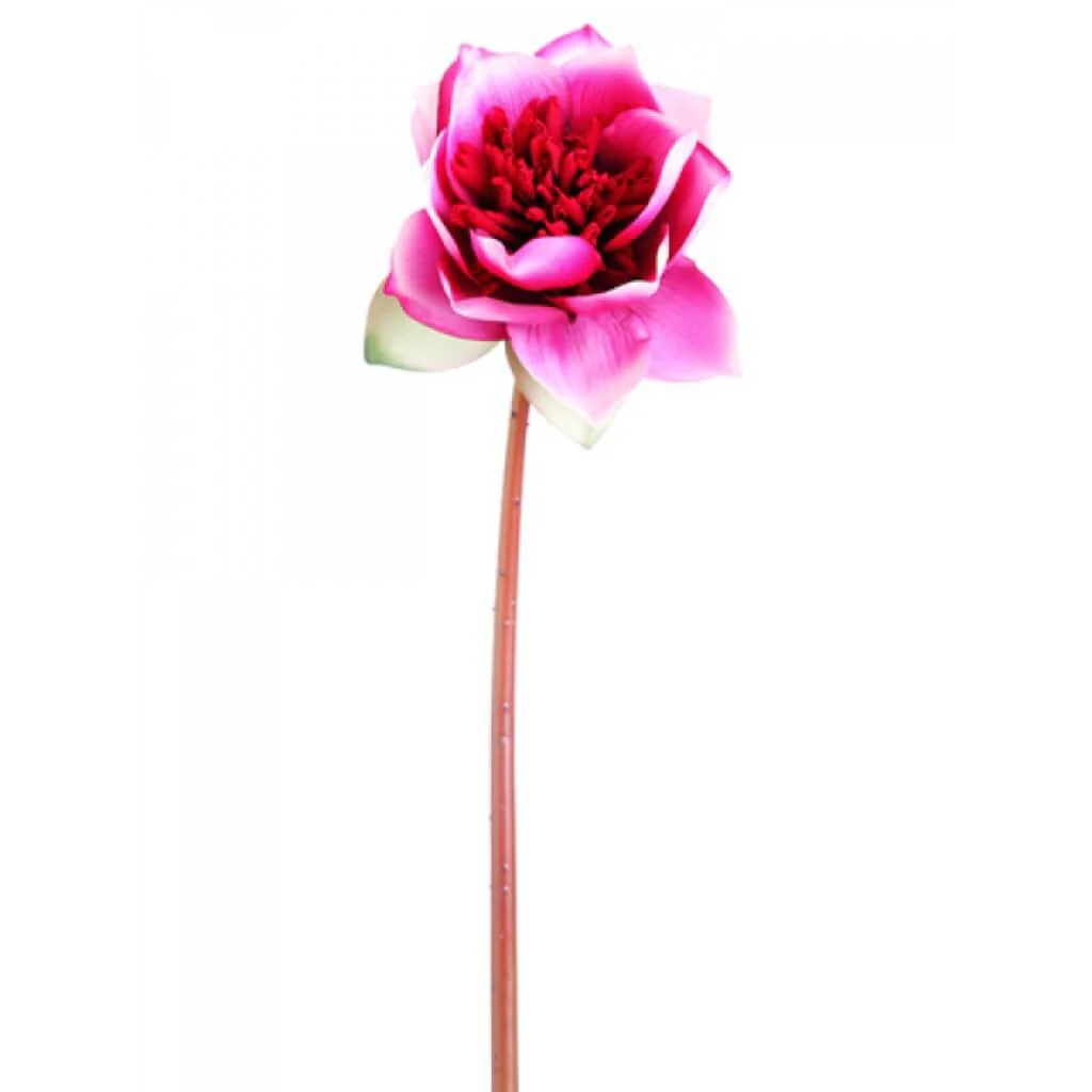 Lotus Flower Spray 20" Two tone Beauty