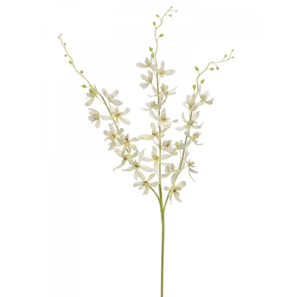 Dendobium Spray X3 39" Cream
