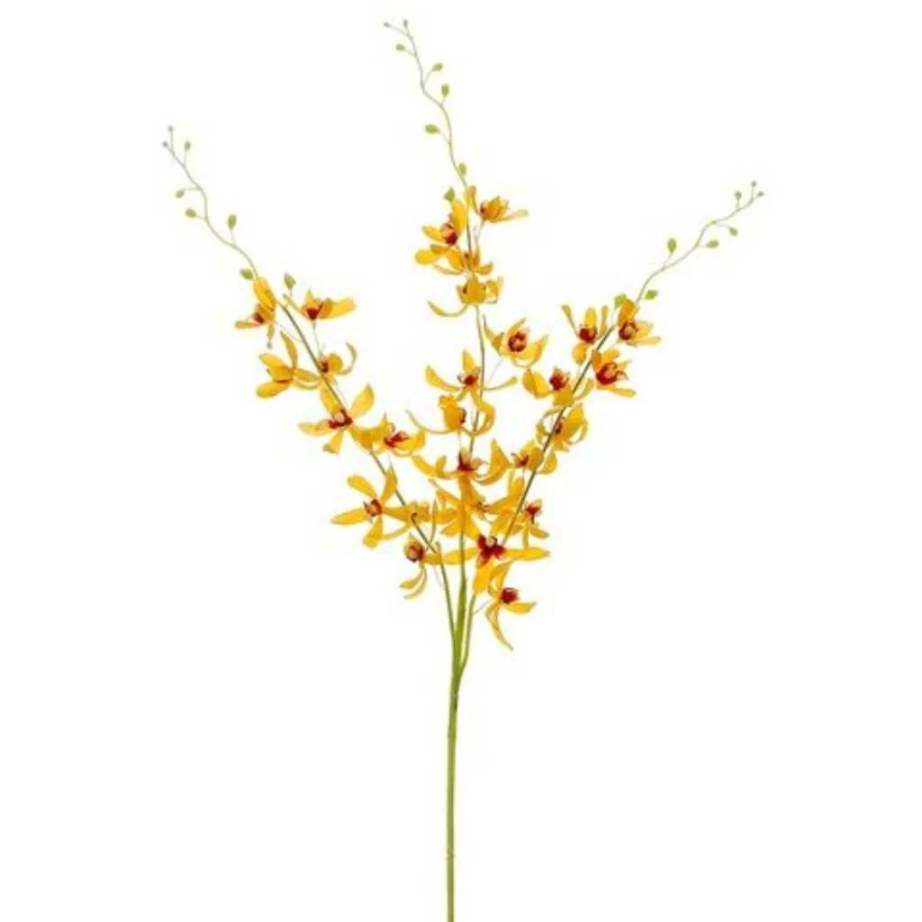 Dendrobium Spray X3 39" Yellow Red