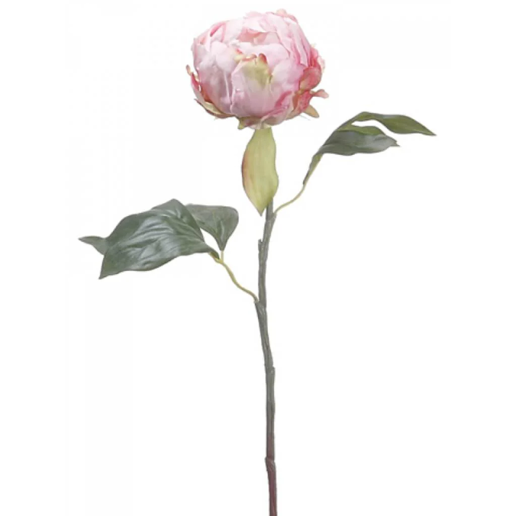 Peony Bud Spray 18" Pink