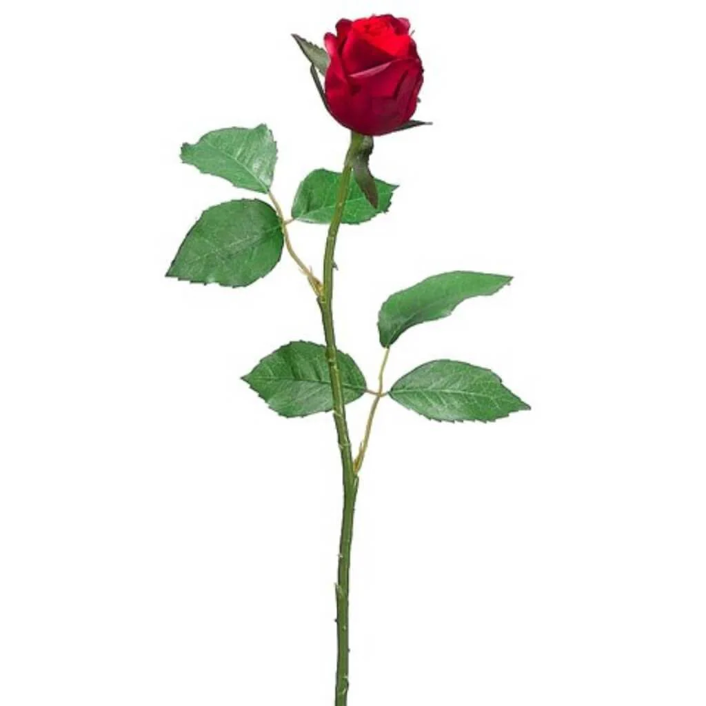 Sm Cott.Rose Bud Spray 21.5" Red