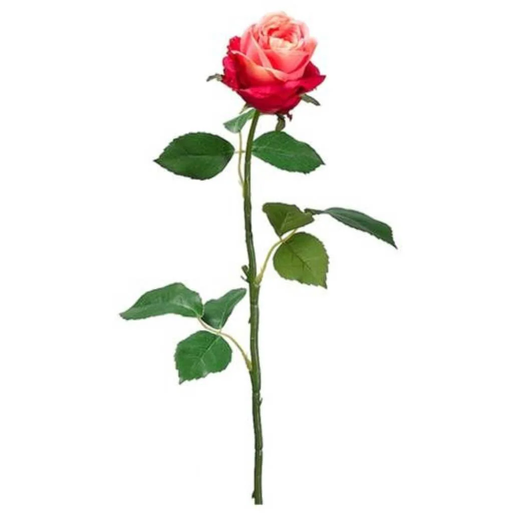 Cott.Rose Bud Spray 26" Coral Beauty
