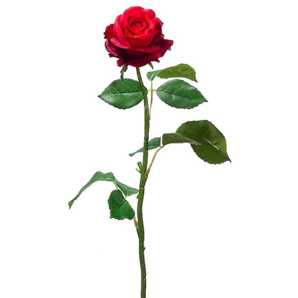 Cott.Rose Bud Spray 26" Red