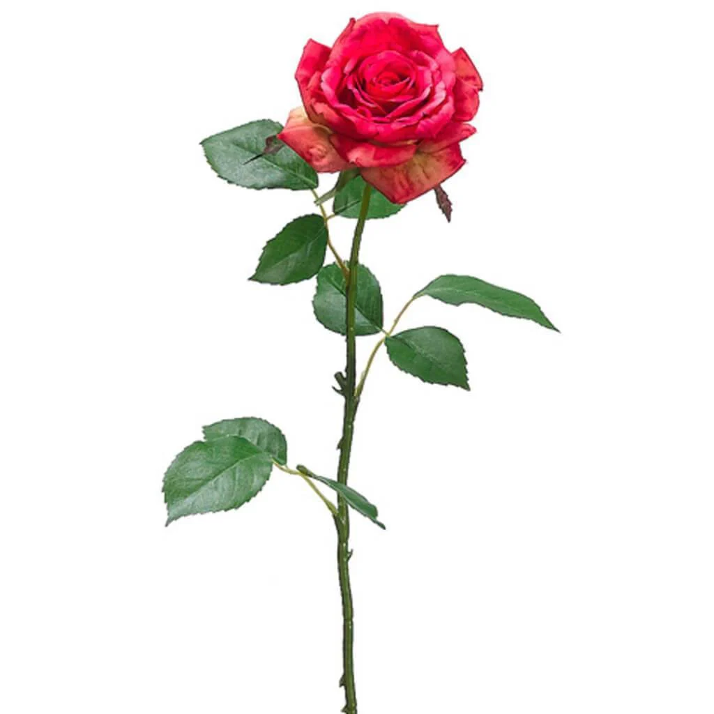 OPEN COTT.ROSE SPRAY 25.5" TWO TONE BEAUTY