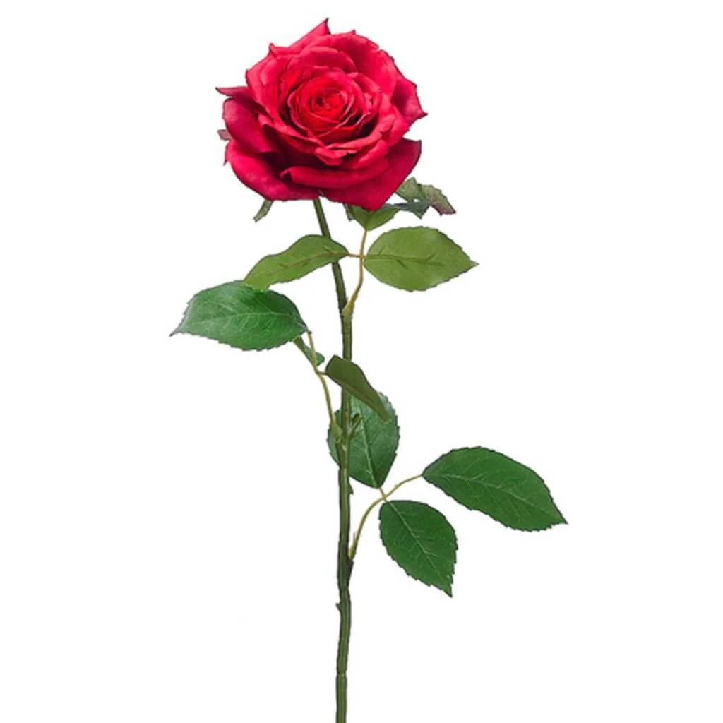 OPEN COTT.ROSE SPRAY 25.5" RED