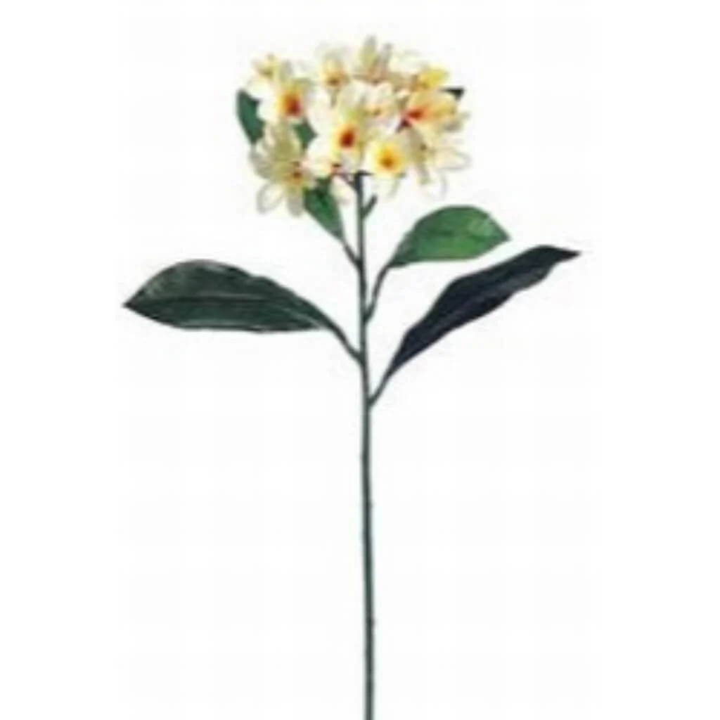 Frangipani Spray X1 29" Cream Orange