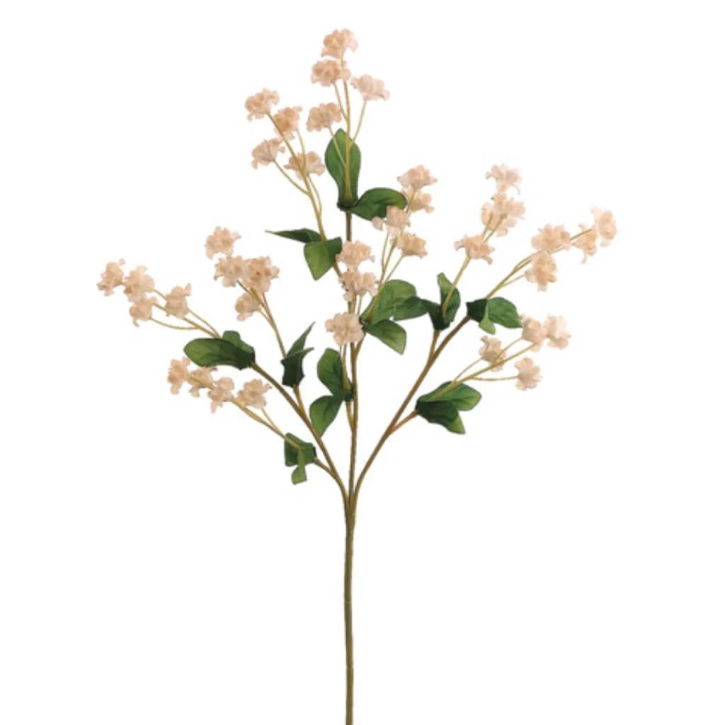 19"Dbl Baby'S Breath Sp. Iv
