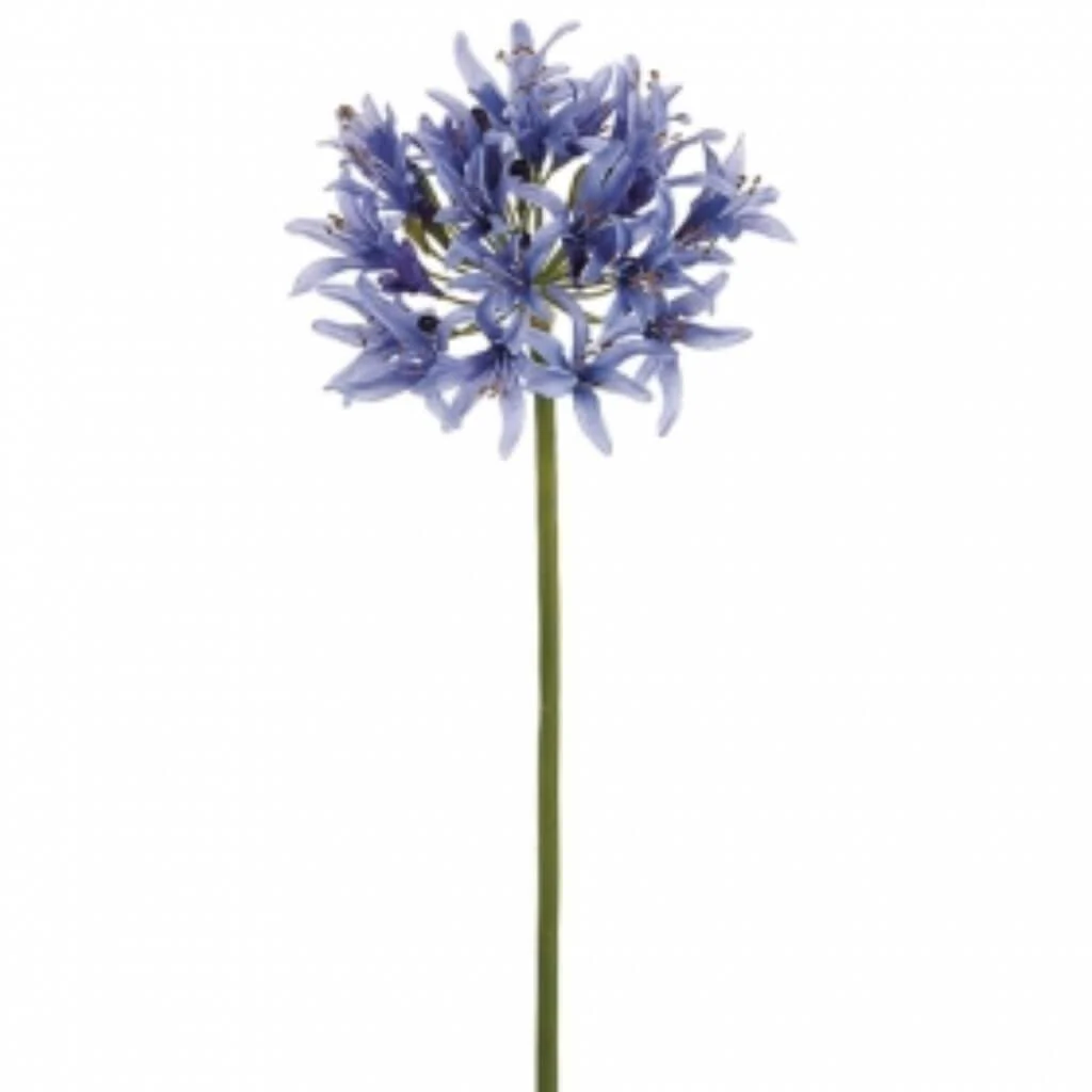 Lg Agapanthus Spray 32" Lavender