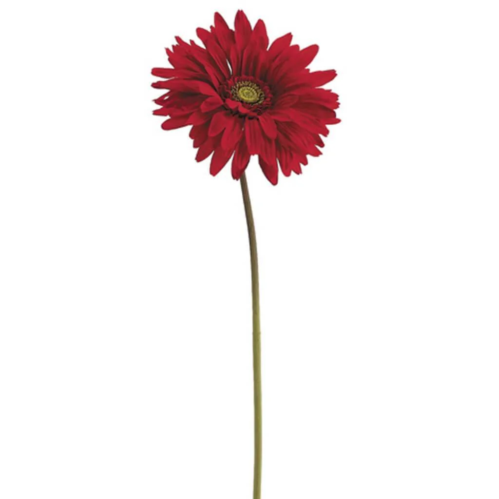 Gerbera Daisy Spray 29" Red