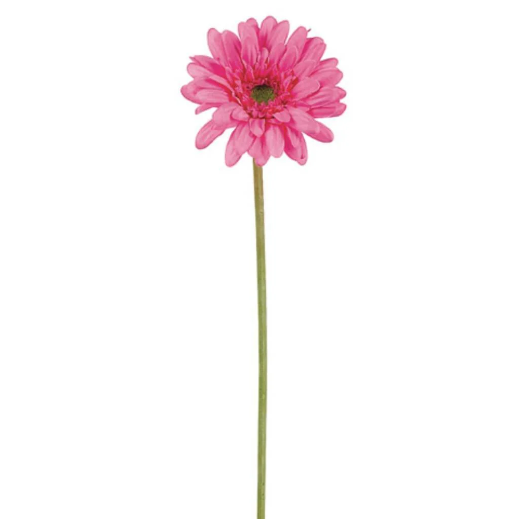 Sm Gerbera Daisy Spray 21.5" Hot Pink