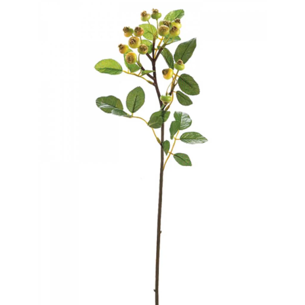 Rosehip Spray 23" Green