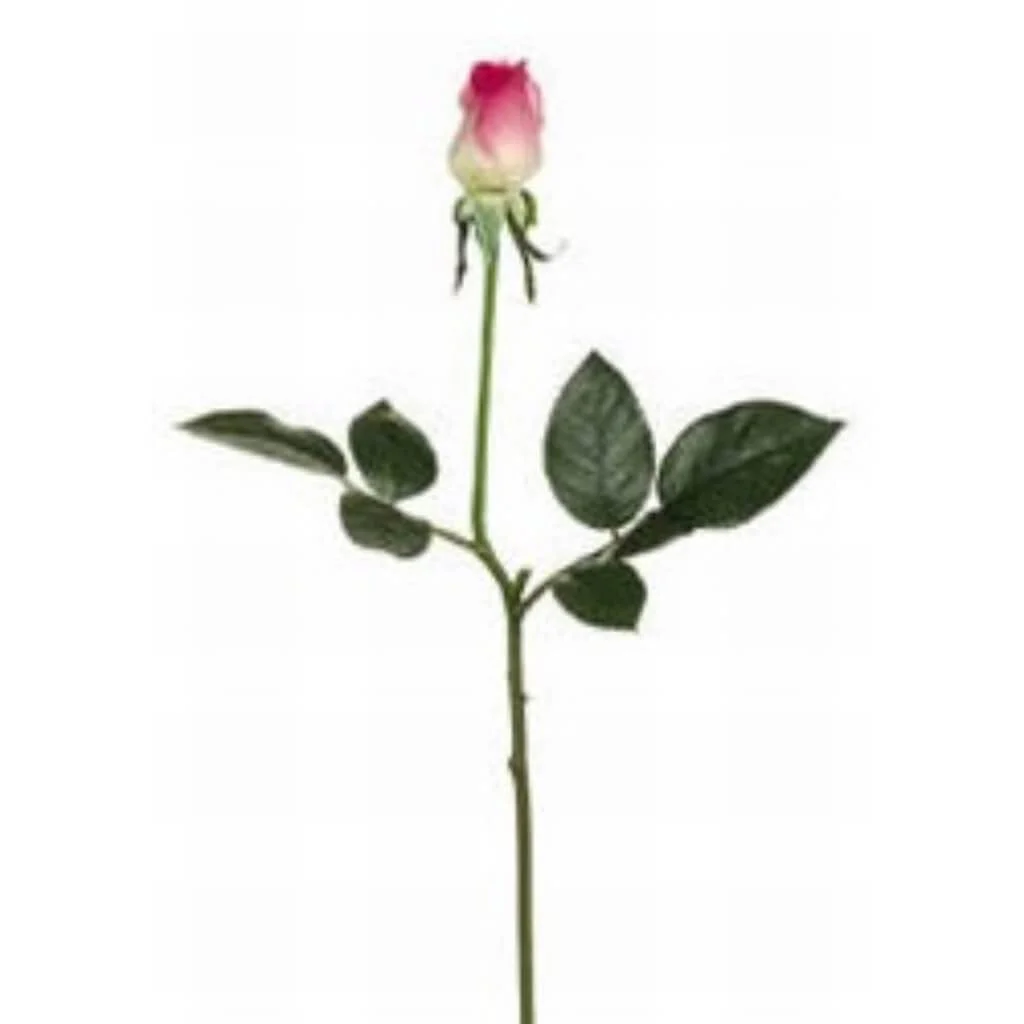 17.5"Rt Dia.Rose Bud Sp.Pk/Lt
