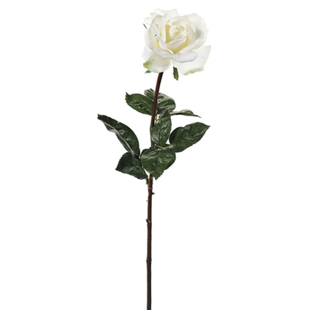 Rt Caroline Rose Spray 27" White