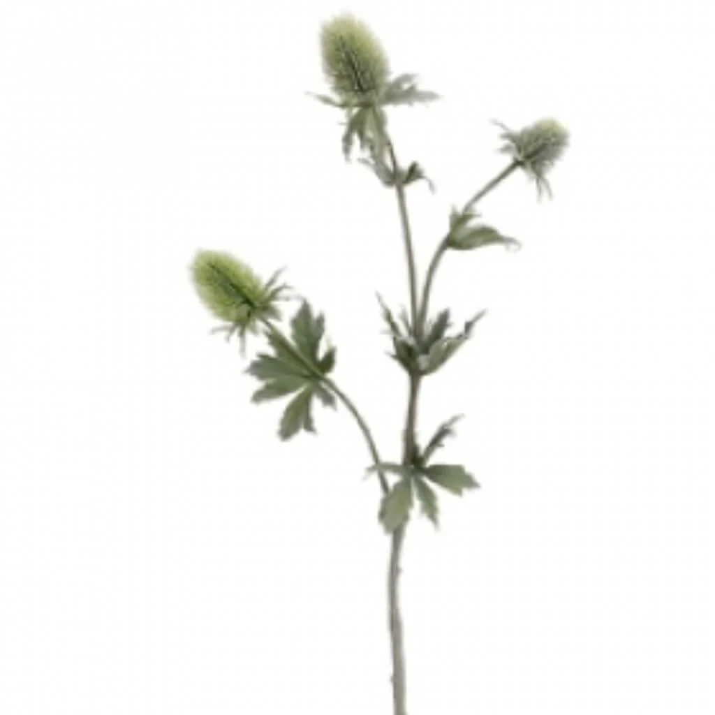 Thistle Spray 31" Green