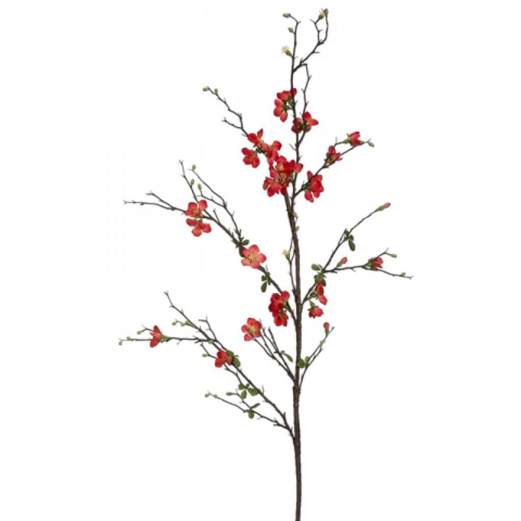 57"Quince Blossom Branch Co