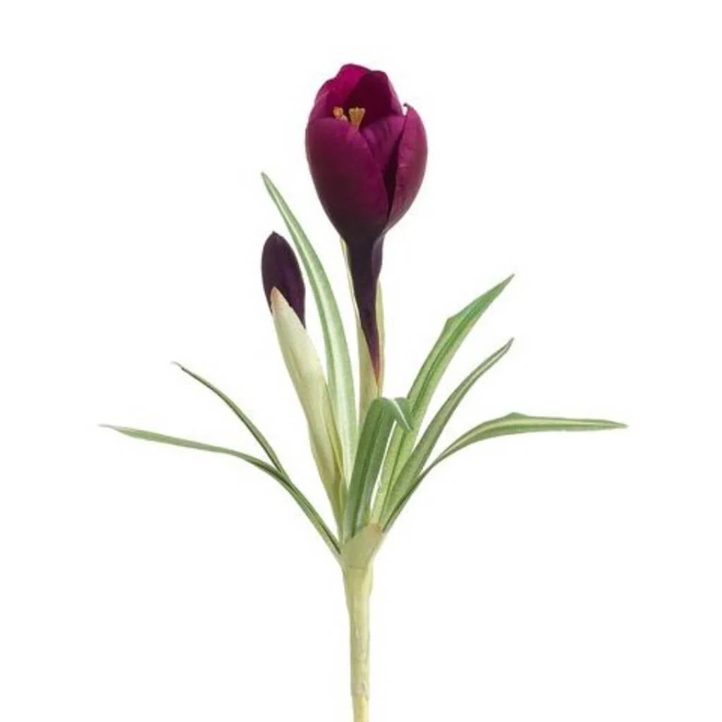 Crocus Spray 10" Eggplant