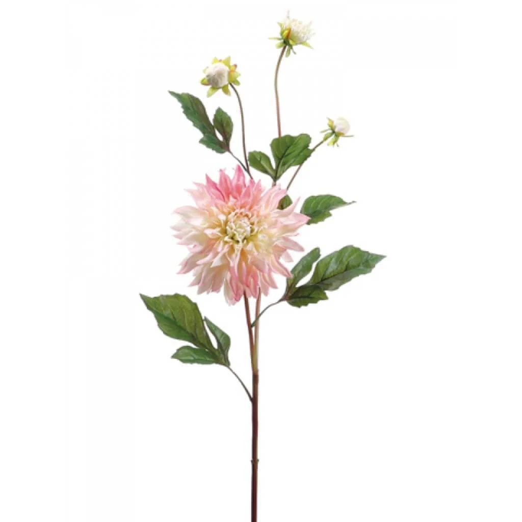 GARDEN DAHLIA SPRAY 37" PINK-CREAM