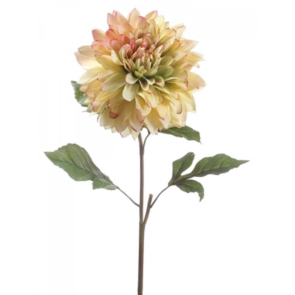 DINNER PLATE DAHLIA SPRAY 25.5 GREEN-PURPLE