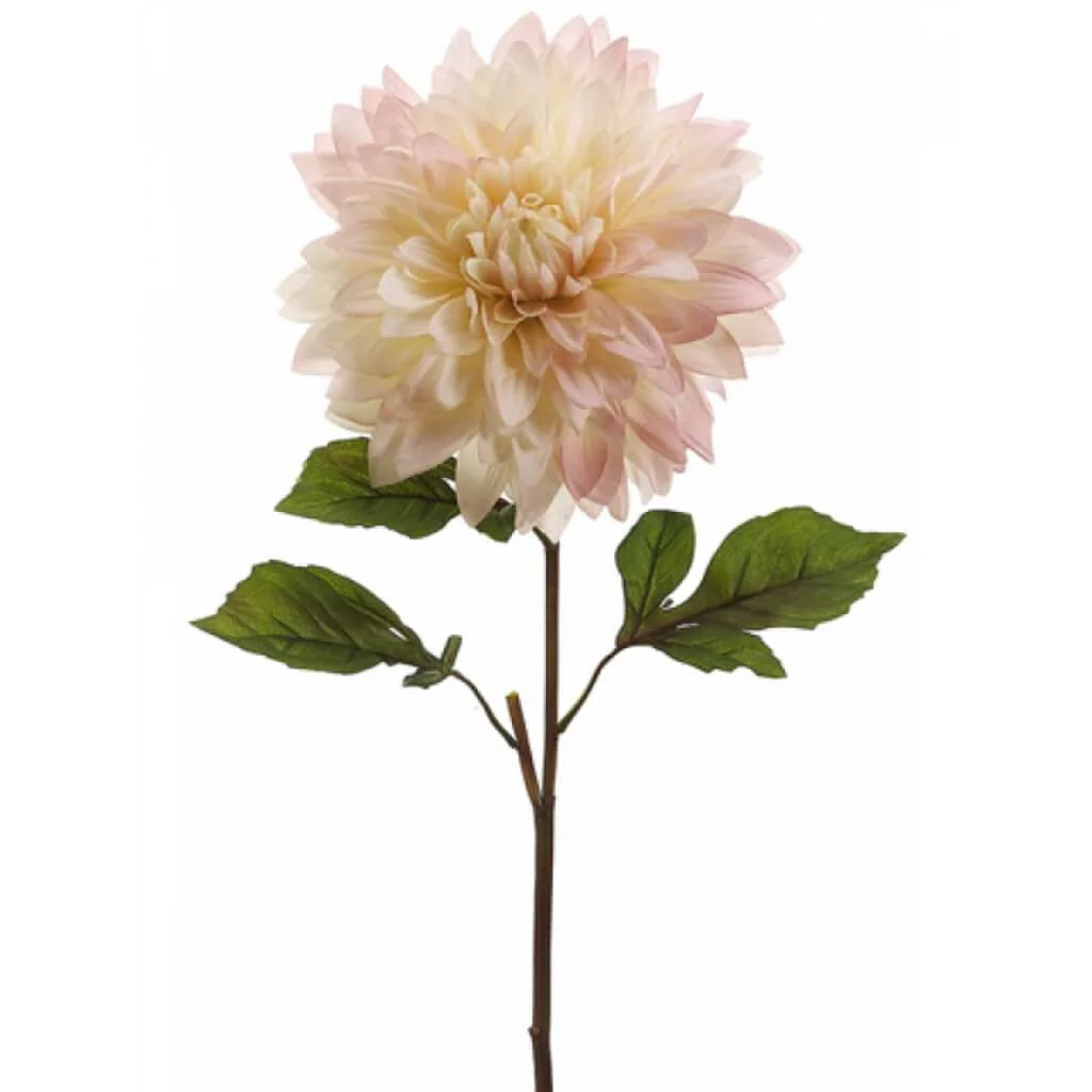 DINNER PLATE DAHLIA SPRAY 25.5 PINK-CREAM