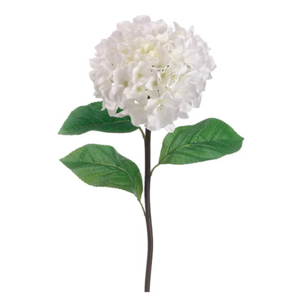 HYDRANGEA SPRAY 30" CREAM