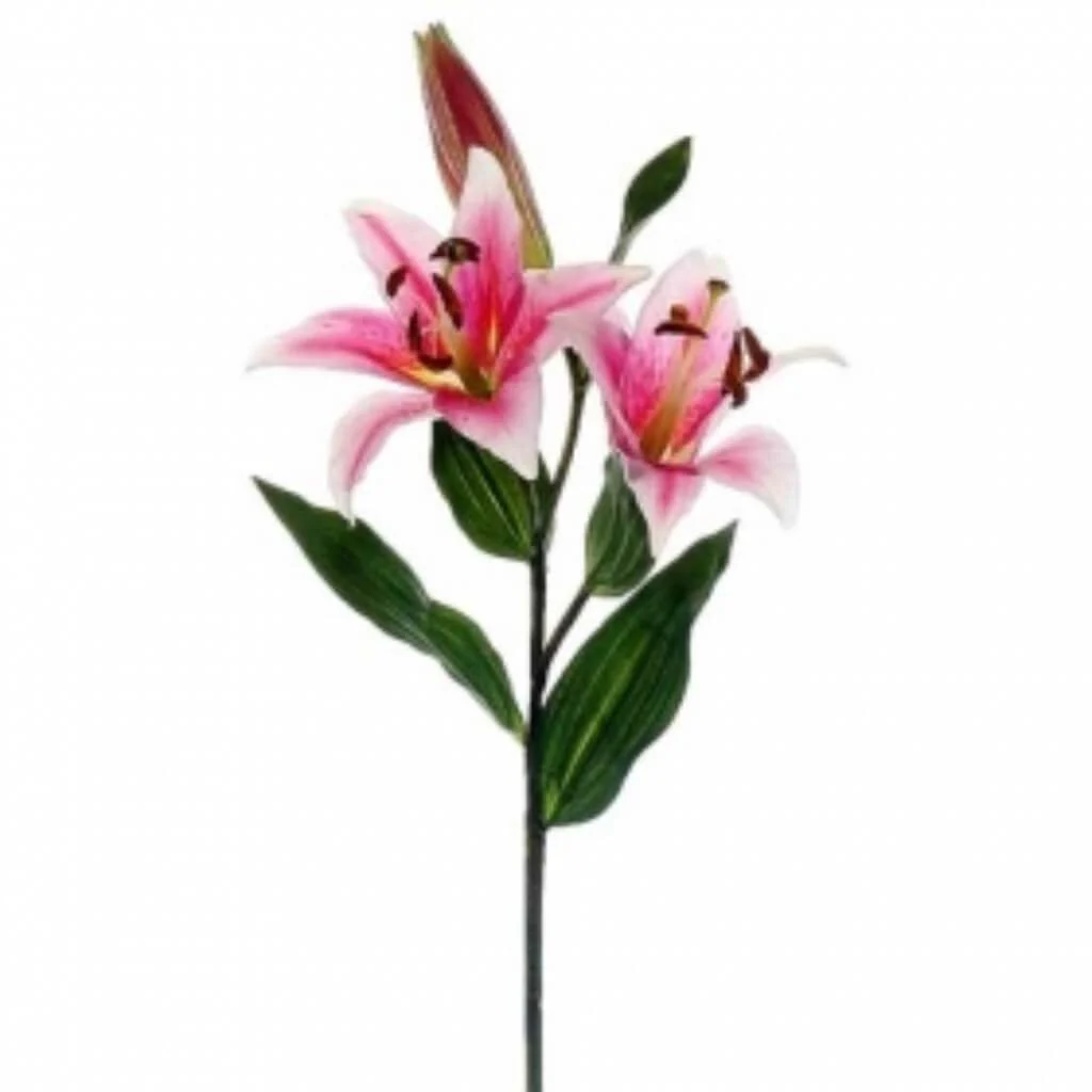 Rubrum Lily Spray 32.5" Pink