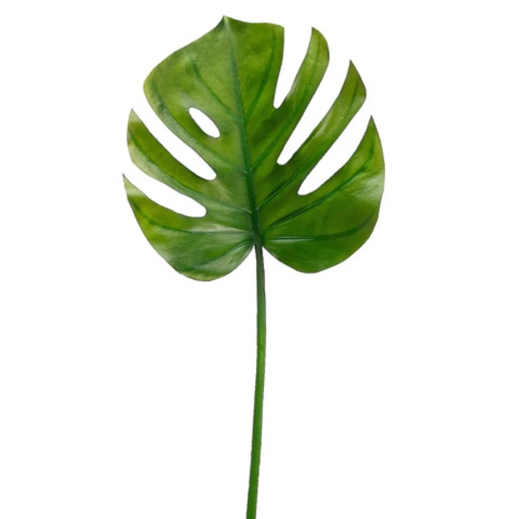 Split Philo Leaf Spray 26" Green
