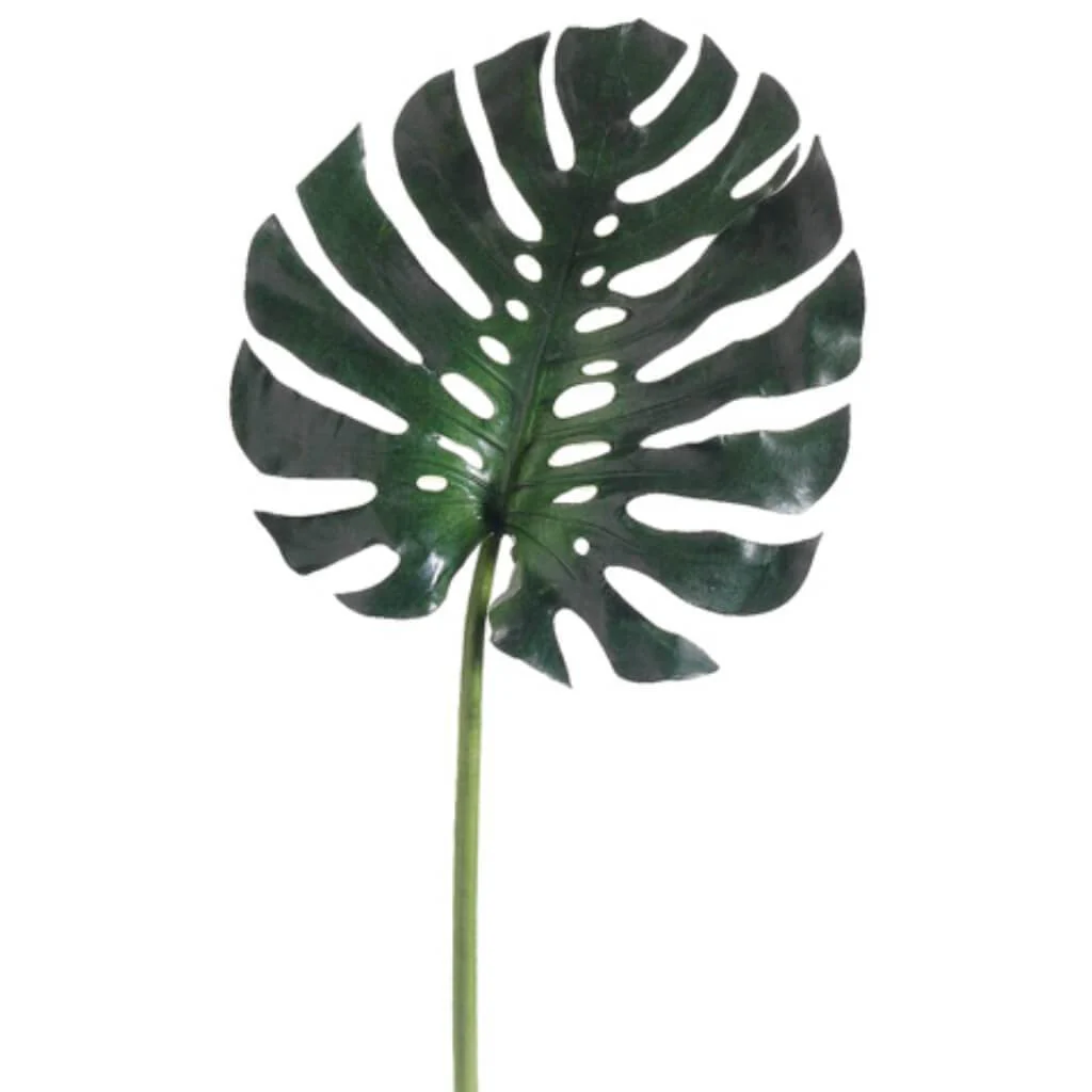 Md Monstera Leaf Spray 16" Green