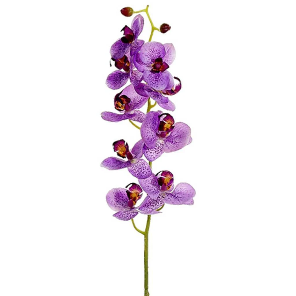 Phalaenopsis Spray 30" Orchid Lilac