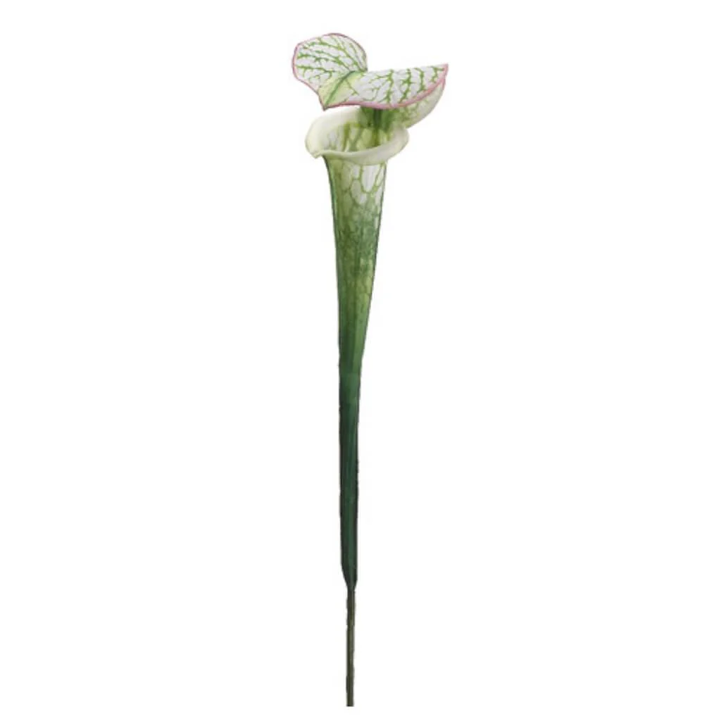 Pitcher Plant Spray 28in Green White