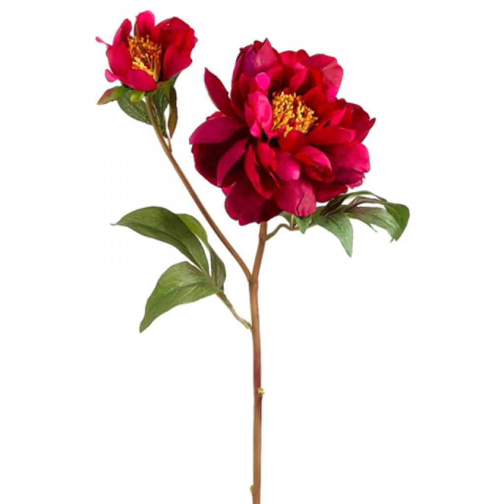 Vintage Peony Spray 22.5" Beauty