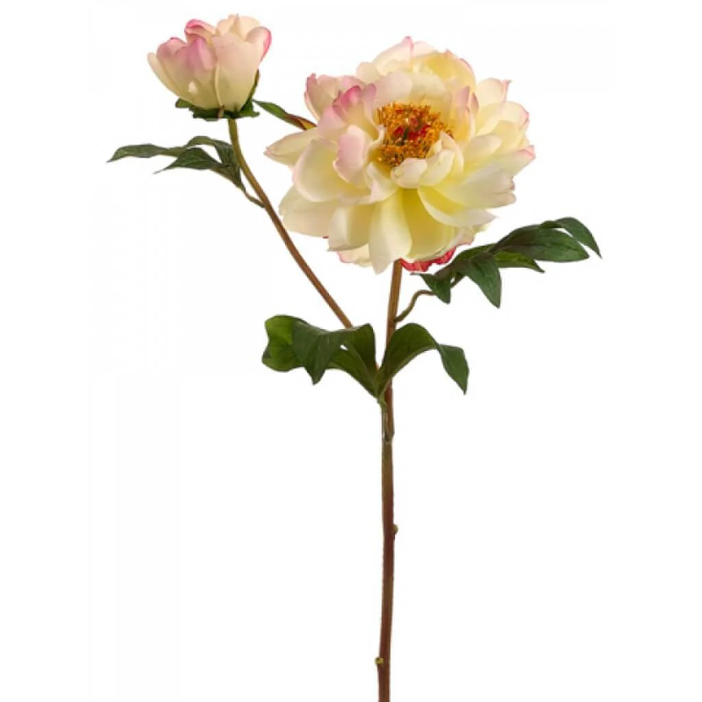 Vintage Peony Spray 22.5" Cream Cerise