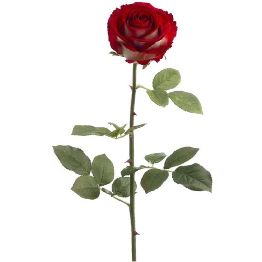 VICKY BROWN ROSE SPRAY 27" RED WHITE