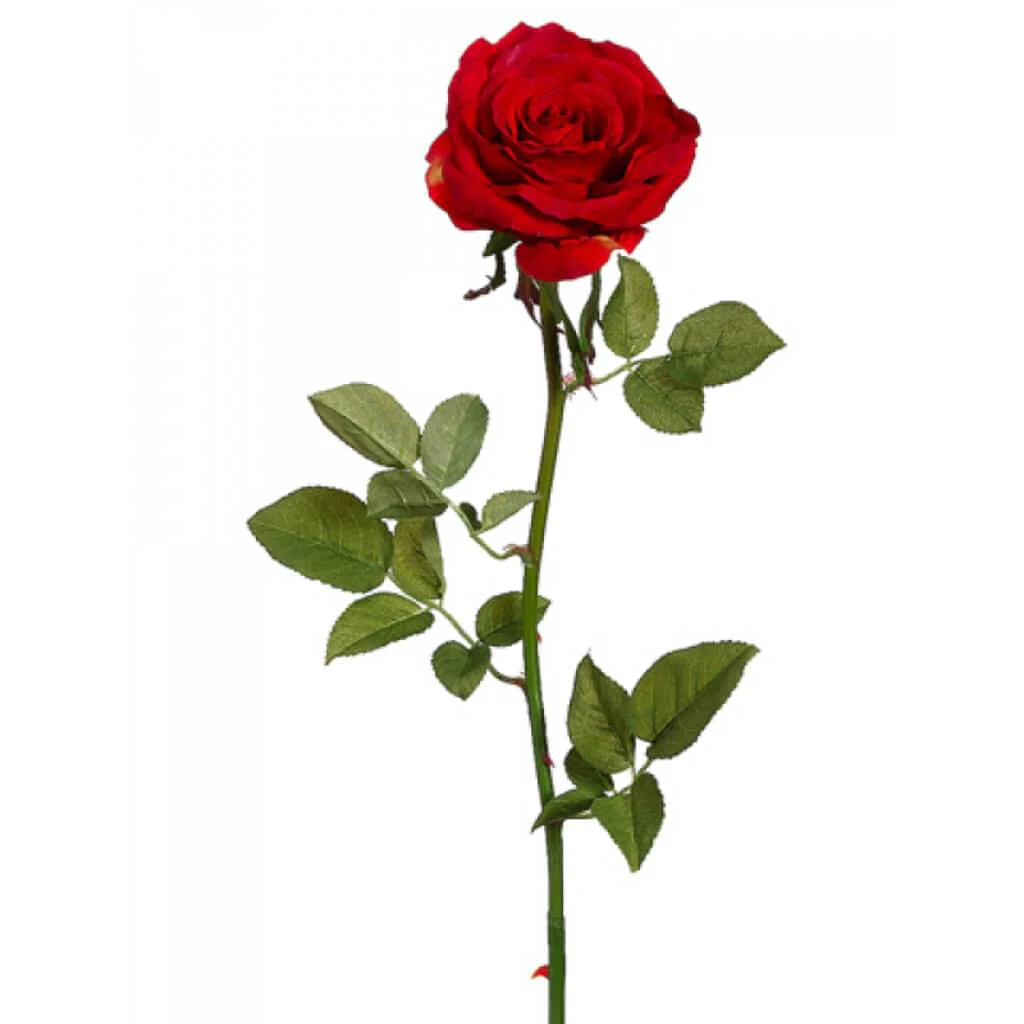 Garden Open Rose Spray 27" Red