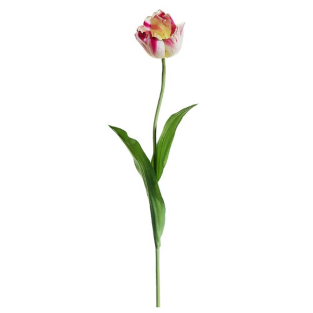 Tulip Spray 28" Cream beauty